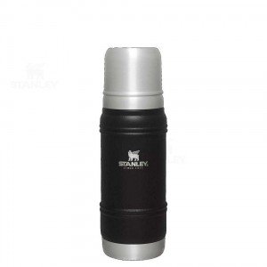 Stanley Artisan Thermal Bottle | 20 OZ Coffee & Tea | Danmark_S2081