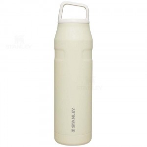 Stanley IceFlow™ AeroLight™ with Cap and Carry+ Lid | 36 OZ Vandflaske | Danmark_S1523