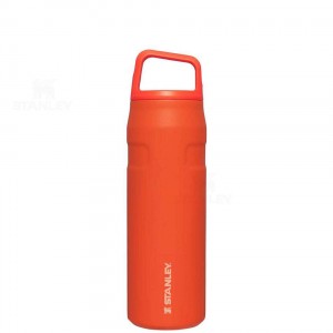 Stanley IceFlow™ AeroLight™ with Cap and Carry+ Lid | 24 OZ Vandflaske | Danmark_S2159