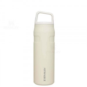 Stanley IceFlow™ AeroLight™ with Cap and Carry+ Lid | 24 OZ Vandflaske | Danmark_S1390