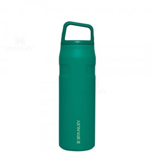 Stanley IceFlow™ AeroLight™ with Cap and Carry+ Lid | 24 OZ Vandflaske | Danmark_S2040