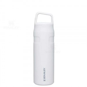 Stanley IceFlow™ AeroLight™ with Cap and Carry+ Lid | 24 OZ Vandflaske | Danmark_S1076