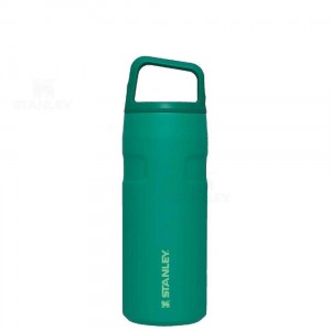 Stanley IceFlow™ AeroLight™ with Cap and Carry+ Lid | 16 OZ Vandflaske | Danmark_S1108