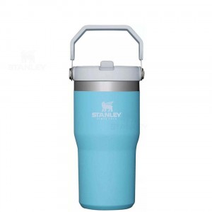 Stanley The IceFlow Flip Straw | 20 OZ Tumblers | Danmark_S1676