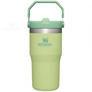 Stanley The IceFlow Flip Straw | 20 OZ Tumblers | Danmark_S1780