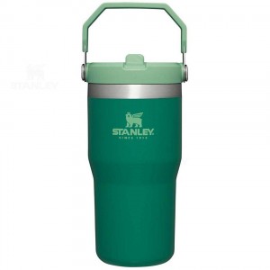 Stanley The IceFlow Flip Straw | 20 OZ Tumblers | Danmark_S1270