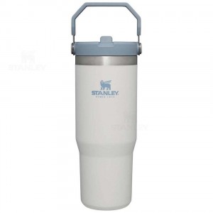 Stanley The IceFlow Flip Straw | 30 OZ Tumblers | Danmark_S1094