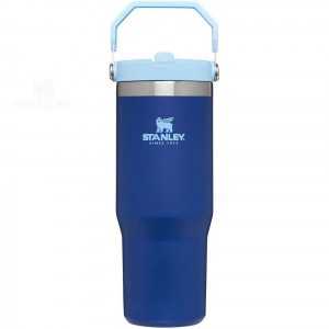 Stanley The IceFlow Flip Straw | 30 OZ Tumblers | Danmark_S1008