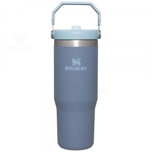 Stanley The IceFlow Flip Straw | 30 OZ Tumblers | Danmark_S1605