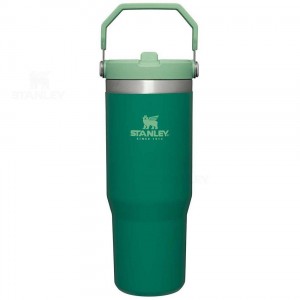 Stanley The IceFlow Flip Straw | 30 OZ Tumblers | Danmark_S1018