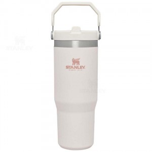 Stanley The IceFlow Flip Straw | 30 OZ Tumblers | Danmark_S1937