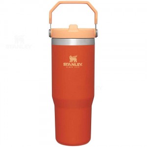 Stanley The IceFlow Flip Straw | 30 OZ Tumblers | Danmark_S2181