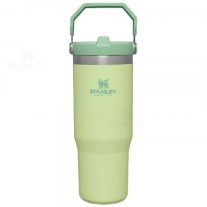 Stanley The IceFlow Flip Straw | 30 OZ Tumblers | Danmark_S1044