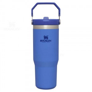 Stanley The IceFlow Flip Straw | 30 OZ Tumblers | Danmark_S1526