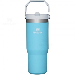 Stanley The IceFlow Flip Straw | 30 OZ Vandflaske | Danmark_S1753