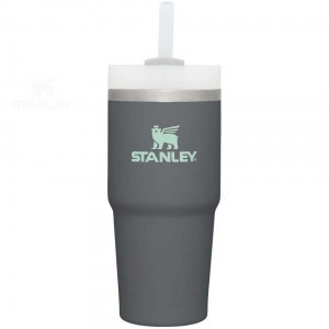 Stanley The Quencher H2.0 FlowState™ 14 OZ | Danmark_S1281