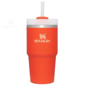 Stanley The Quencher H2.0 FlowState™ 20 OZ | Danmark_S1306