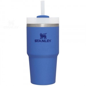 Stanley The Quencher H2.0 FlowState™ 20 OZ | Danmark_S2303