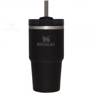 Stanley The Quencher H2.0 FlowState™ 20 OZ | Danmark_S1879