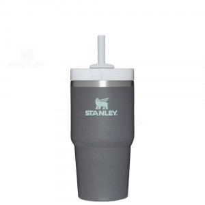 Stanley The Quencher H2.0 FlowState™ 20 OZ | Danmark_S2289