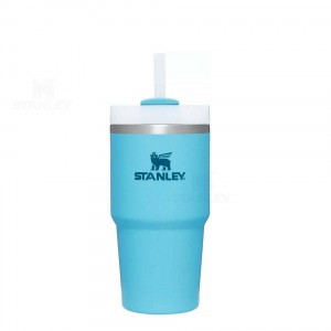 Stanley The Quencher H2.0 FlowState™ 20 OZ | Danmark_S2169