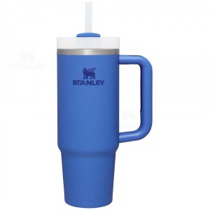 Stanley The Quencher H2.0 FlowState™ 30 OZ | Danmark_S1876