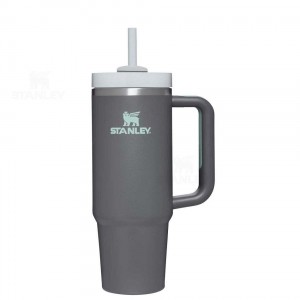 Stanley The Quencher H2.0 FlowState™ 30 OZ | Danmark_S1863