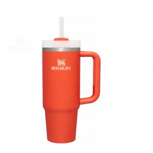 Stanley The Quencher H2.0 FlowState™ 30 OZ | Danmark_S2355