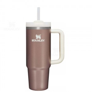 Stanley The Quencher H2.0 FlowState™ 30 OZ | Danmark_S2218