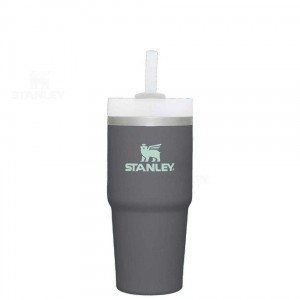 Stanley The Quencher H2.0 FlowState™ | 14 OZ Tumblers | Danmark_S1848