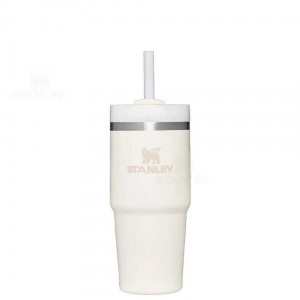 Stanley The Quencher H2.0 FlowState™ | 14 OZ Tumblers | Danmark_S2182