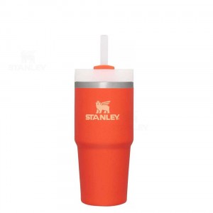 Stanley The Quencher H2.0 FlowState™ | 14 OZ Tumblers | Danmark_S1486