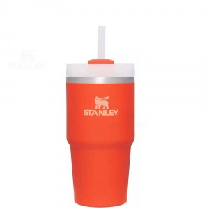 Stanley The Quencher H2.0 FlowState™ | 20 OZ Tumblers | Danmark_S2371