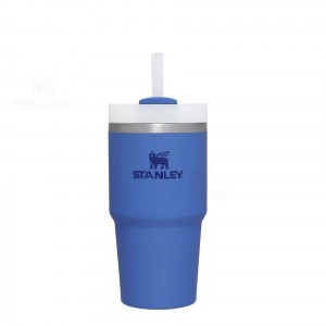 Stanley The Quencher H2.0 FlowState™ | 20 OZ Tumblers | Danmark_S1254