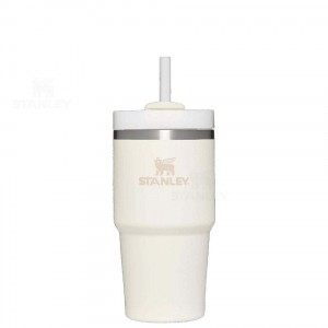 Stanley The Quencher H2.0 FlowState™ | 20 OZ Tumblers | Danmark_S1833