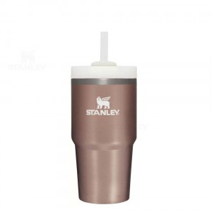 Stanley The Quencher H2.0 FlowState™ | 20 OZ Tumblers | Danmark_S1492