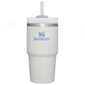 Stanley The Quencher H2.0 FlowState™ | 20 OZ Vandflaske | Danmark_S1651