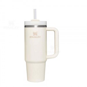 Stanley The Quencher H2.0 Flowstate™ | 30 OZ Tumblers | Danmark_S1859