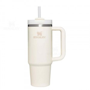 Stanley The Quencher H2.0 Flowstate™ | 30 OZ Tumblers | Danmark_S1032