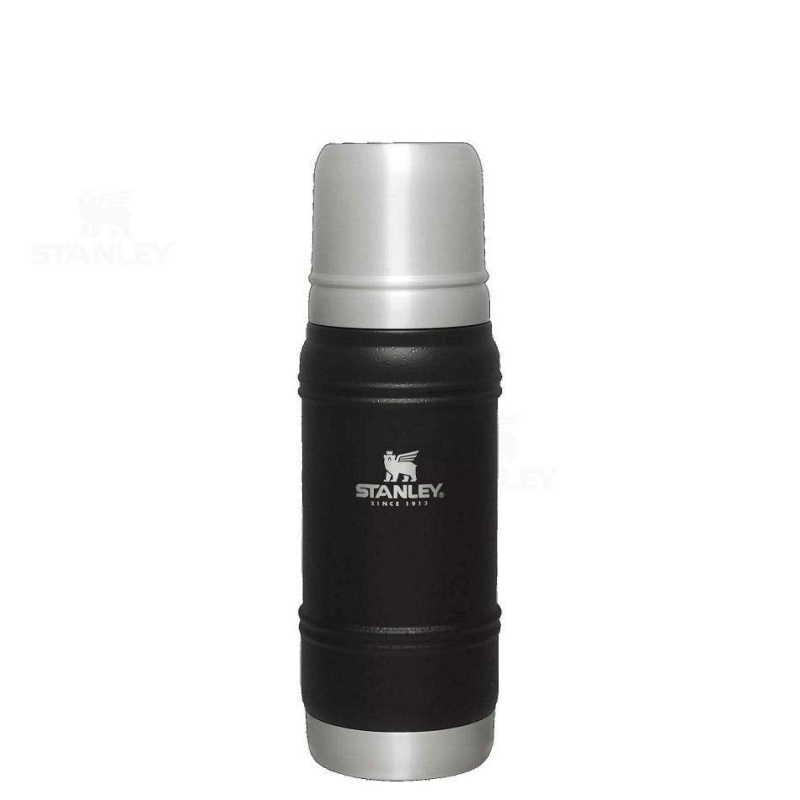 Stanley Artisan Thermal Bottle | 20 OZ Cups | Danmark_S1809