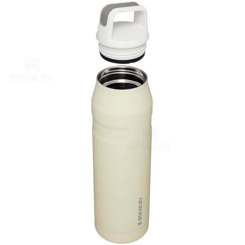 Stanley IceFlow™ AeroLight™ with Cap and Carry+ Lid | 36 OZ Vandflaske | Danmark_S1523