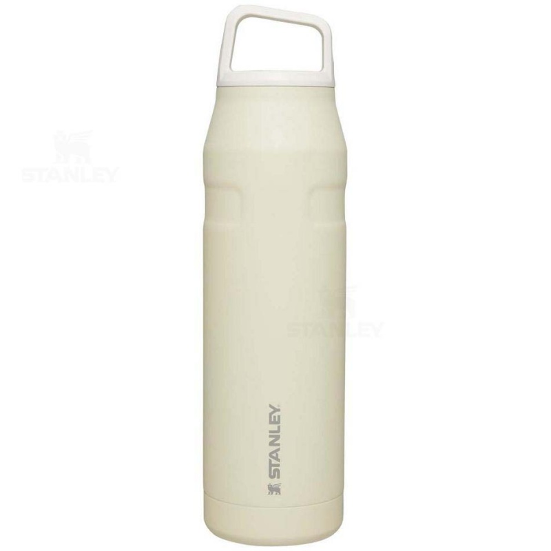 Stanley IceFlow™ AeroLight™ with Cap and Carry+ Lid | 36 OZ Vandflaske | Danmark_S1523