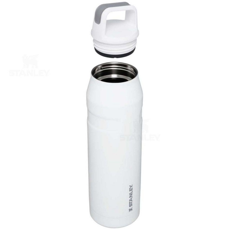 Stanley IceFlow™ AeroLight™ with Cap and Carry+ Lid | 36 OZ Vandflaske | Danmark_S1633