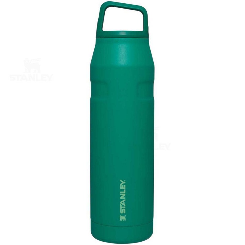 Stanley IceFlow™ AeroLight™ with Cap and Carry+ Lid | 36 OZ Vandflaske | Danmark_S1908