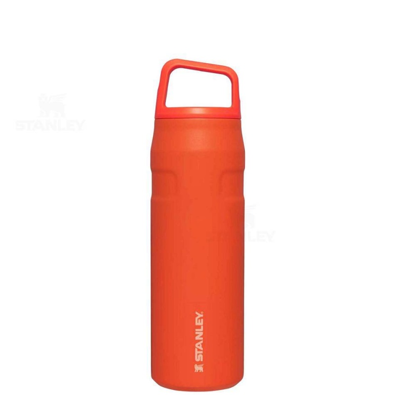 Stanley IceFlow™ AeroLight™ with Cap and Carry+ Lid | 24 OZ Vandflaske | Danmark_S2159