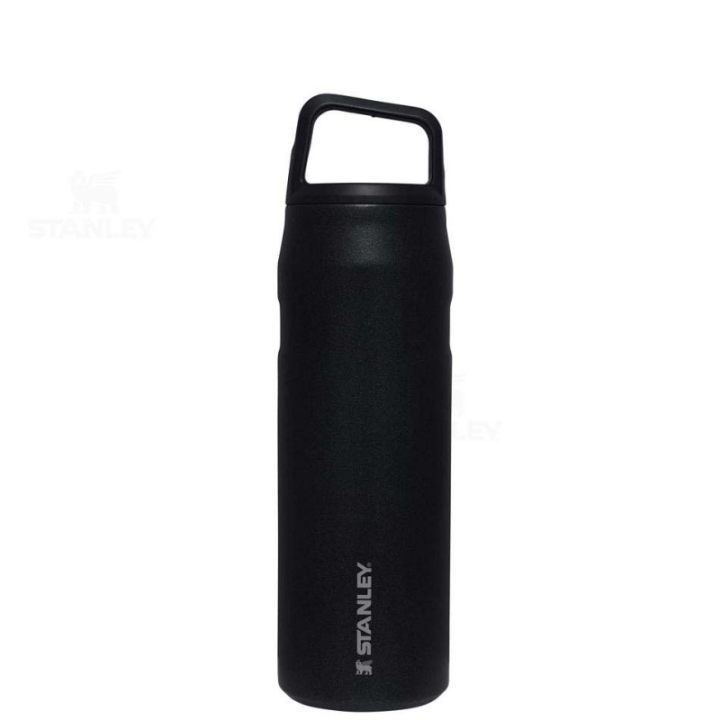 Stanley IceFlow™ AeroLight™ with Cap and Carry+ Lid | 24 OZ Vandflaske | Danmark_S1290