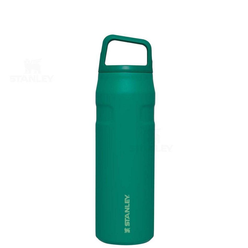 Stanley IceFlow™ AeroLight™ with Cap and Carry+ Lid | 24 OZ Vandflaske | Danmark_S2040