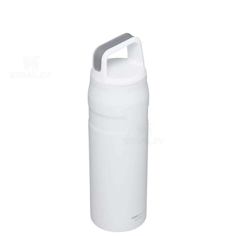 Stanley IceFlow™ AeroLight™ with Cap and Carry+ Lid | 24 OZ Vandflaske | Danmark_S1076