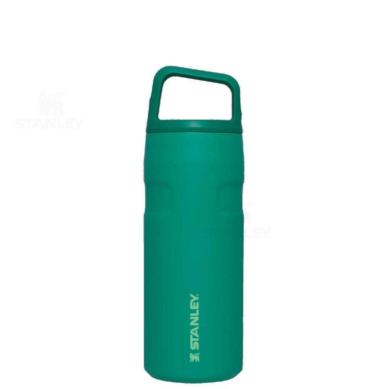 Stanley IceFlow™ AeroLight™ with Cap and Carry+ Lid | 16 OZ Vandflaske | Danmark_S1108