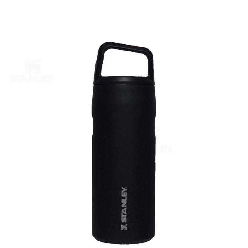 Stanley IceFlow™ AeroLight™ with Cap and Carry+ Lid | 16 OZ Vandflaske | Danmark_S2042